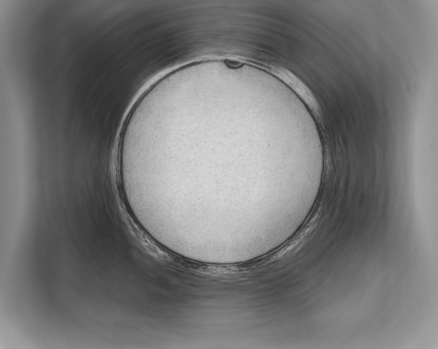 X0000112811052200909181546