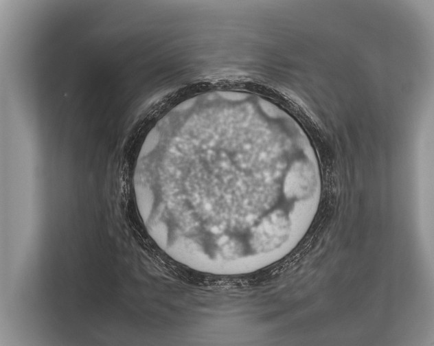 X0000112811063200909181546