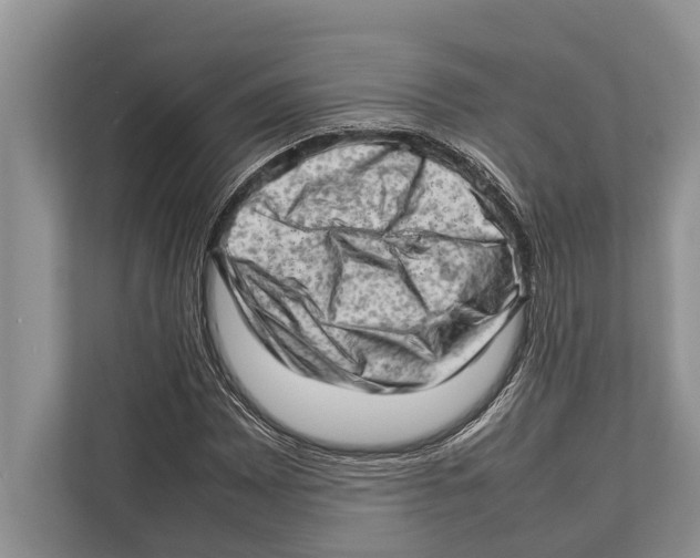 X0000112811065200909181546