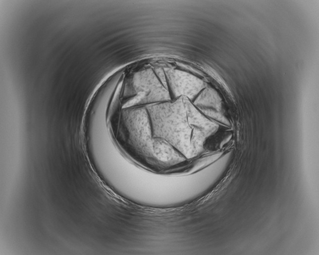 X0000112811068200909181545