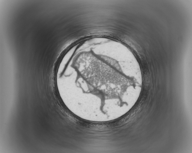 X0000112811071200909181545