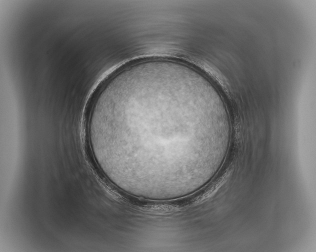 X0000112811077200909181545