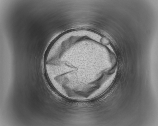 X0000112811079200909181545