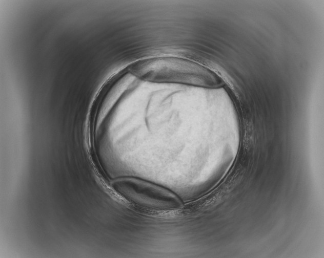 X0000112811080200909181545