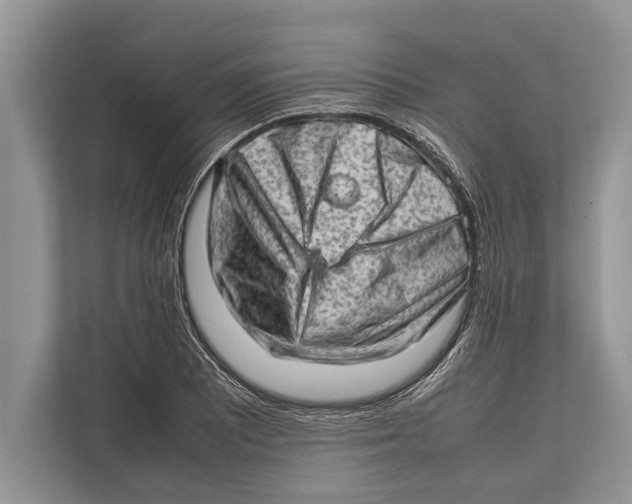 X0000112811081200909181545