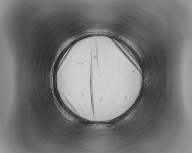 X0000112811082200909181545