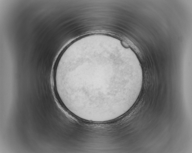 X0000112811084200909181545