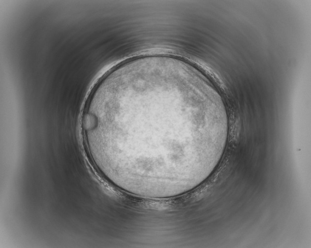 X0000112811086200909181545