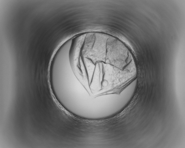 X0000112811088200909181545