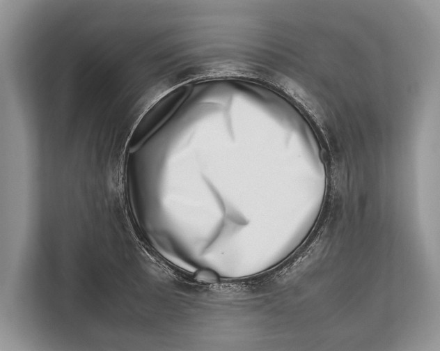 X0000112811089200909181545