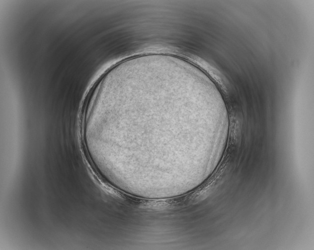 X0000112811094200909181545