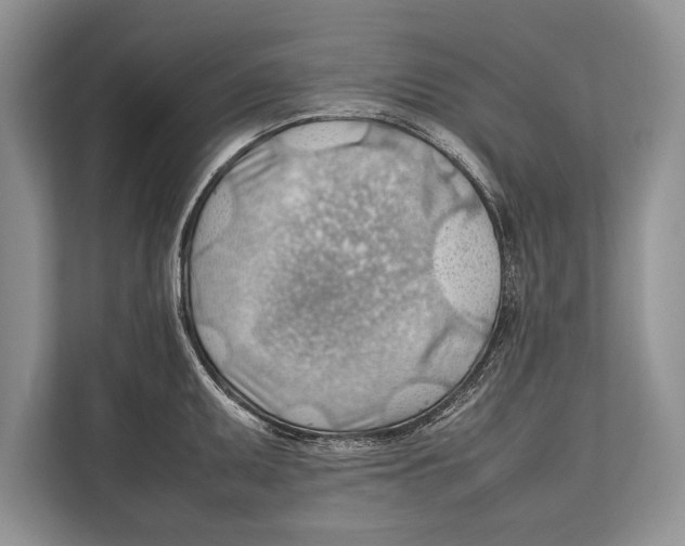 X0000112811095200909181545