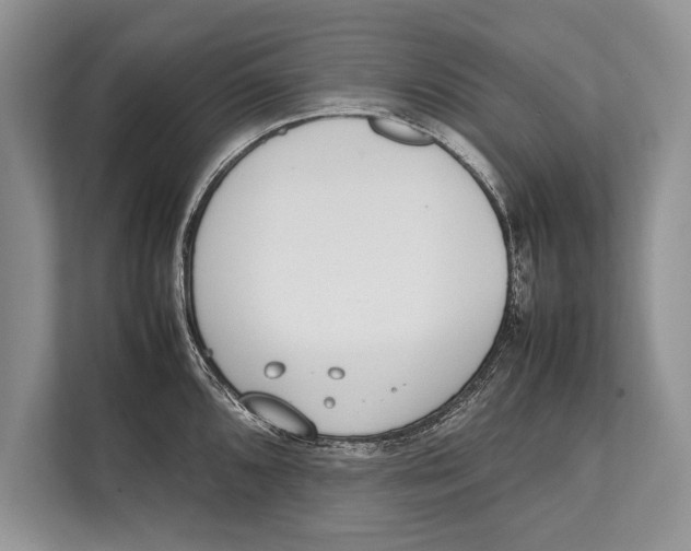 X0000112811096200909181545