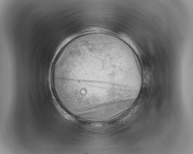 X0000112811098200909181545