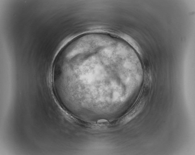 X0000112811101200909181545