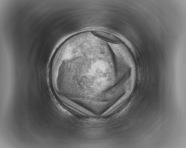 X0000112811102200909181545