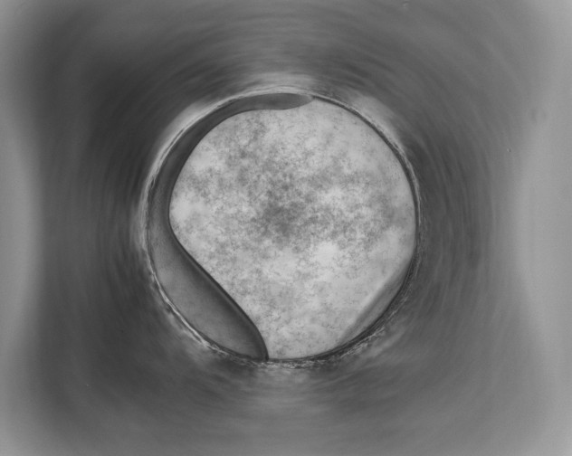 X0000112811104200909181545