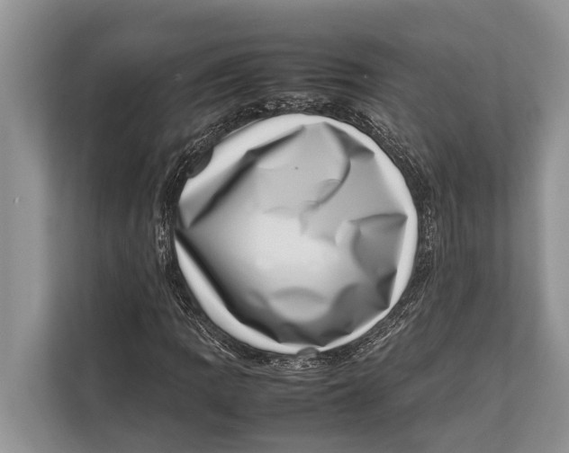 X0000112811109200909181544