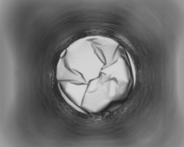 X0000112811111200909181544