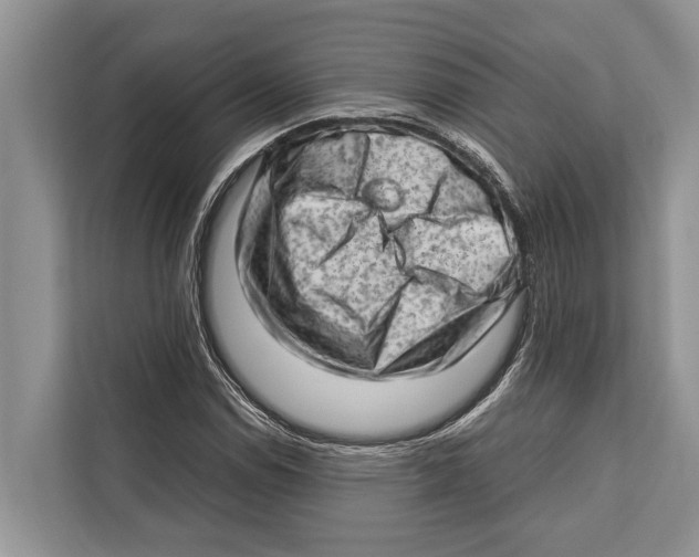 X0000112811114200909181544