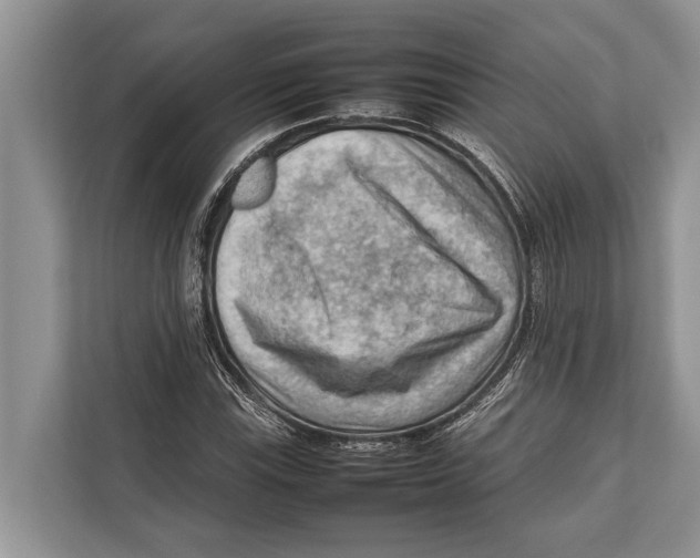 X0000112811115200909181545