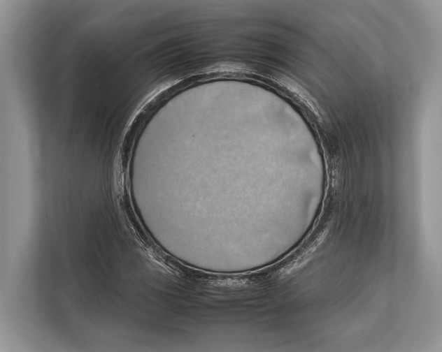 X0000112811117200909181545