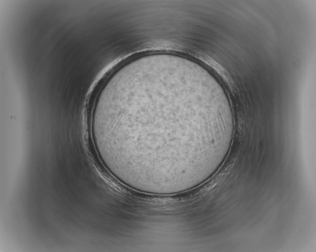 X0000112811120200909181545