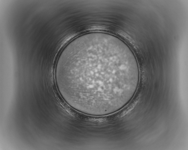 X0000112811121200909181545