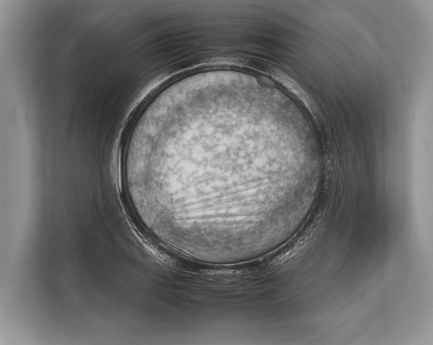 X0000112811127200909181545