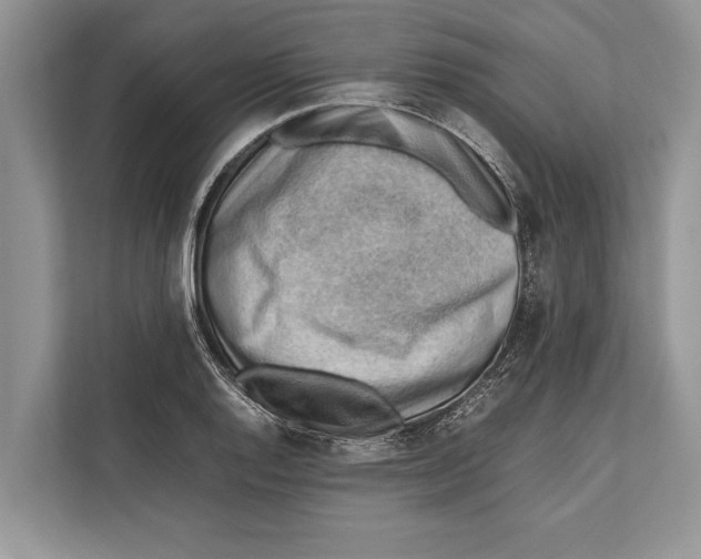 X0000112811128200909181545