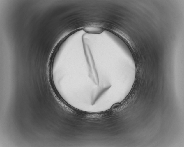 X0000112811135200909181545