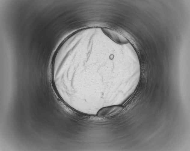 X0000112811140200909181545