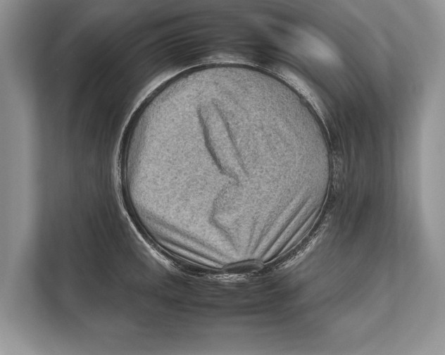 X0000112811141200909181545