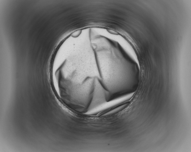 X0000112811143200909181545