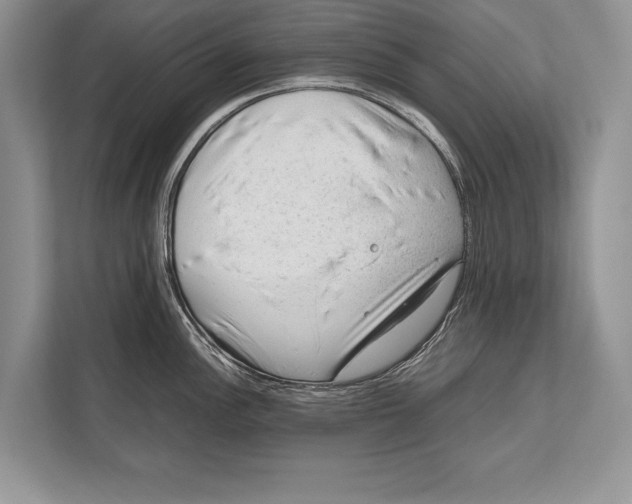 X0000112811148200909181545