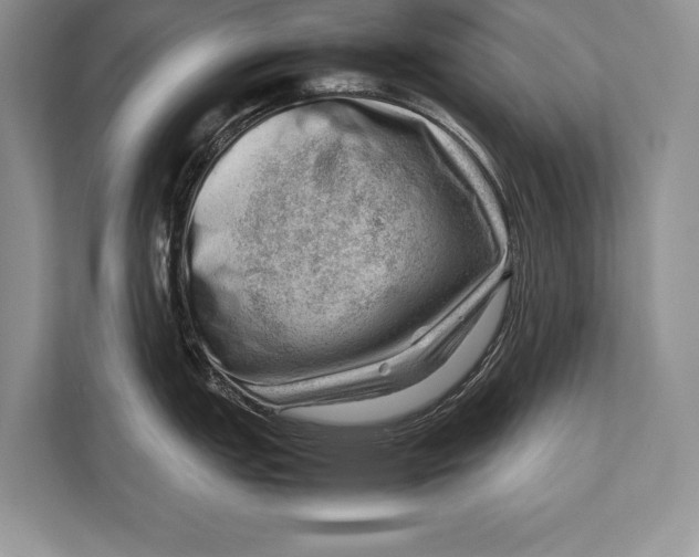 X0000112811151200909181545