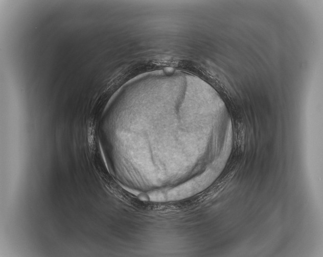 X0000112811154200909181544