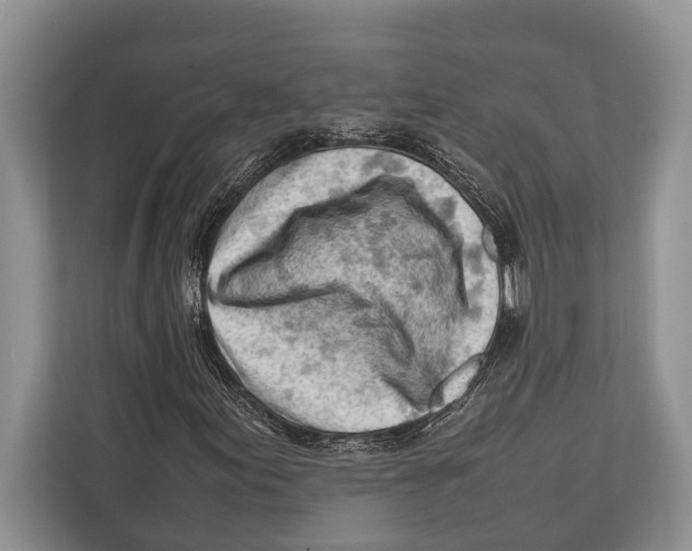 X0000112811155200909181544