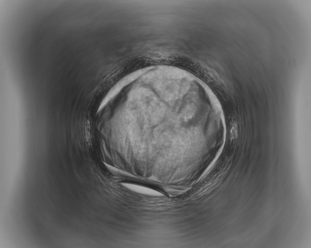 X0000112811156200909181544