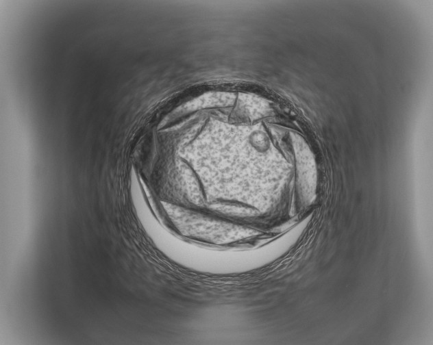 X0000112811157200909181544