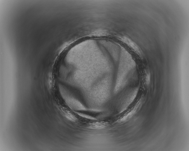 X0000112811160200909181544