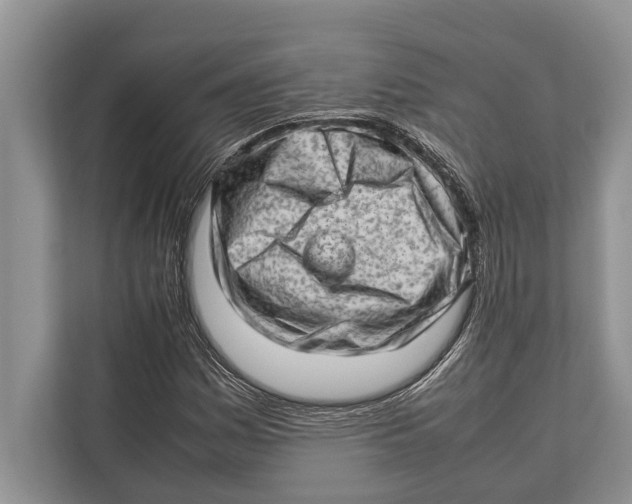 X0000112811161200909181544