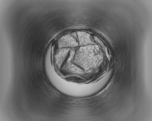 X0000112811162200909181544