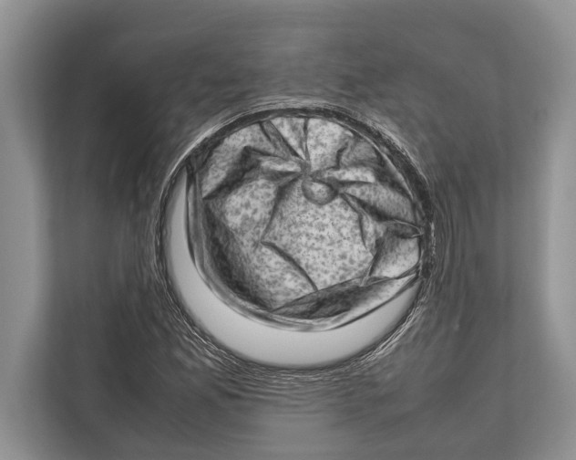 X0000112811165200909181544