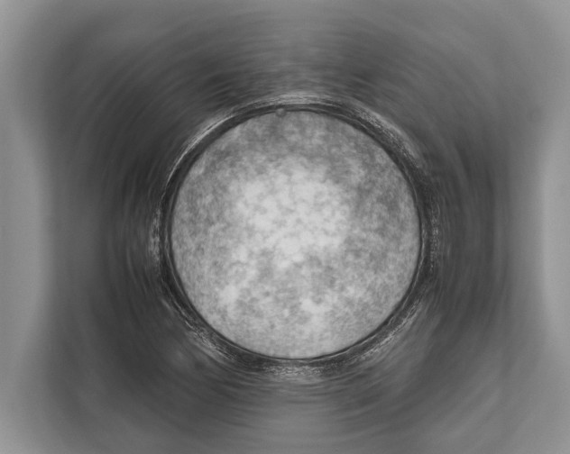 X0000112811170200909181544