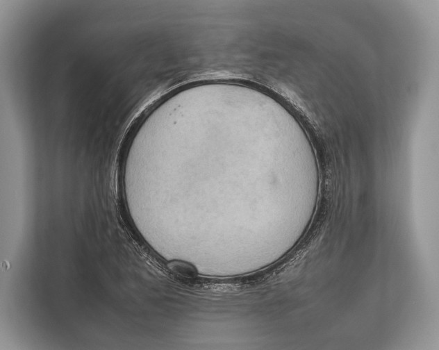 X0000112811173200909181544