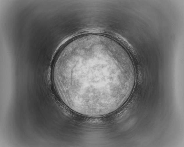 X0000112811174200909181544