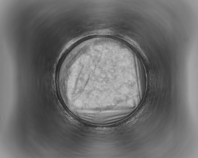 X0000112811176200909181544