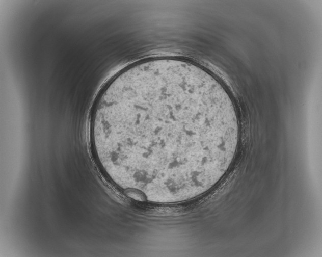 X0000112811179200909181544