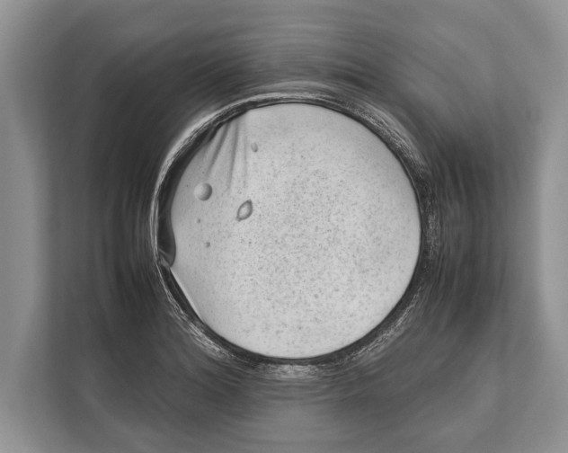 X0000112811180200909181544